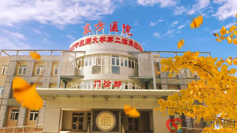 北京中医药大学东方医院 北京中医药大学东方医院