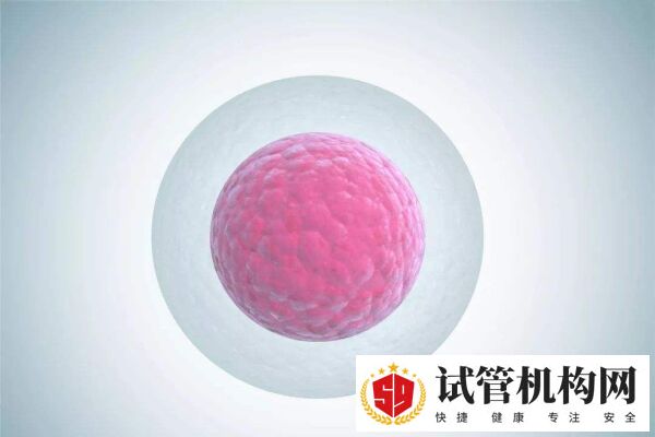 卵泡多大算成熟