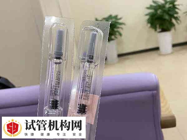 试管打夜针后要禁止一切暴力活动