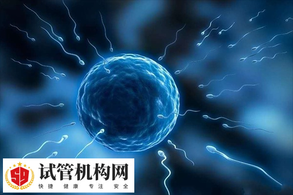 试管移植是一种辅助生殖技术