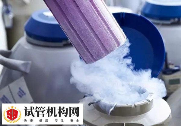 理论上胚胎可以保存20年