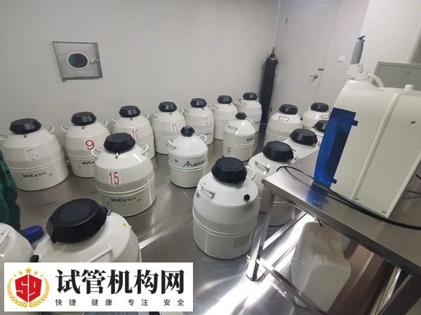 胚胎可以在任何时期冷冻保存