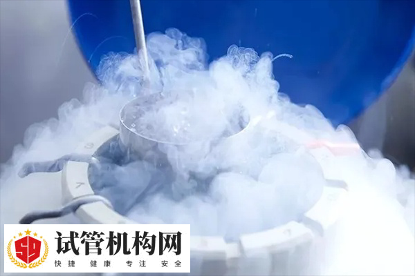 冻胚移植不能直接进行手术