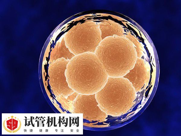 冻胚移植最短要等一个月