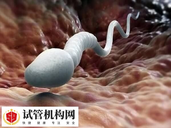 取精前不能去高温的环境