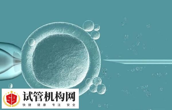 试管婴儿到目前已发展30余年