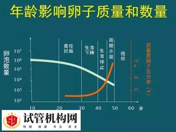 年龄影响卵子品质