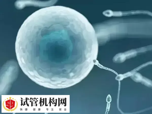 ERT治疗可以提供更加个性化的治疗方法