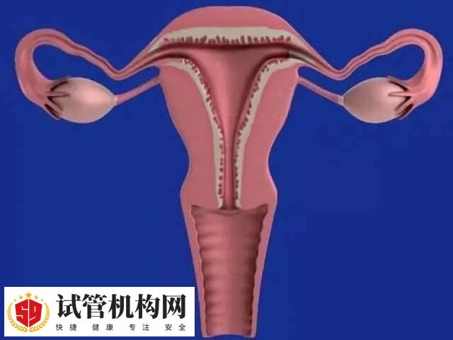 RT治疗可以帮助调整子宫内膜状态