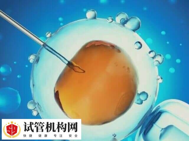 试管婴儿移植方案多样