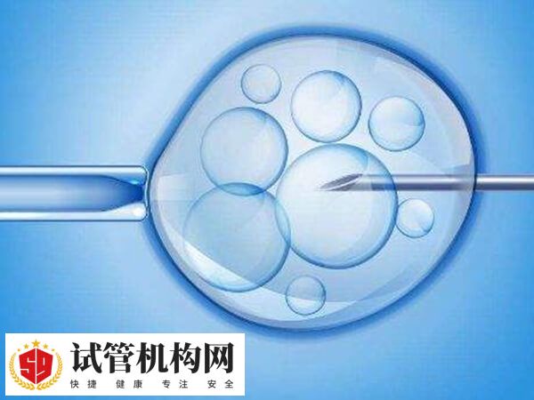三代试管进行性别筛选在国内是违法的