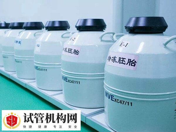 精子冷冻的首次缴费通常覆盖首年保存费