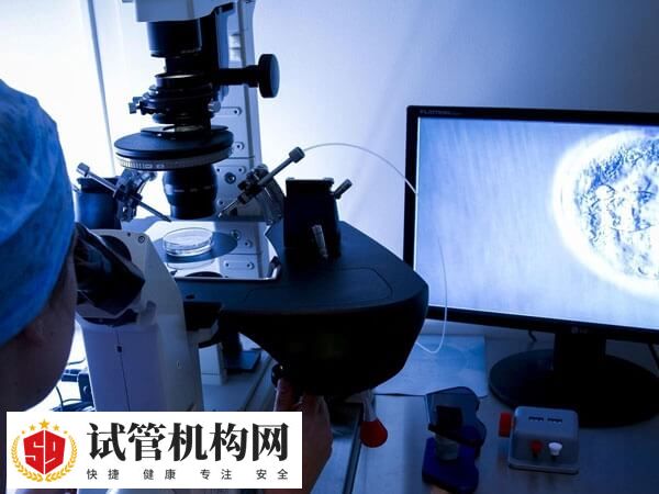 没有结婚证可前往海外国家进行助孕