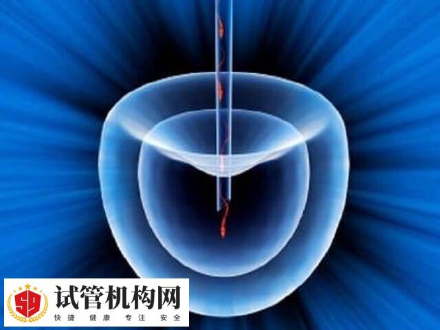 试管婴儿技术主要适用于已婚夫妇