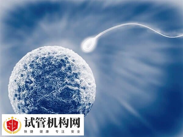 石家庄市第四医院试管成功率在50%左右