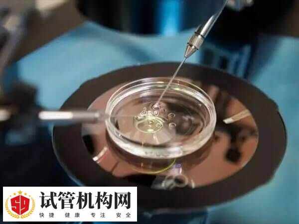 乌克兰辅助生殖技术