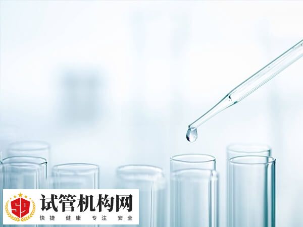 试管婴儿临床妊娠率稳定在60%以上