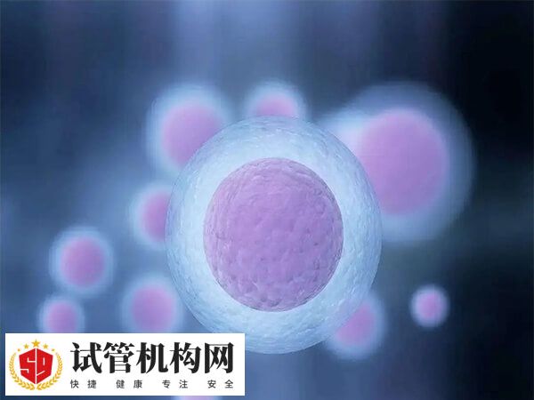 女女骨髓生育技术仅实验阶段