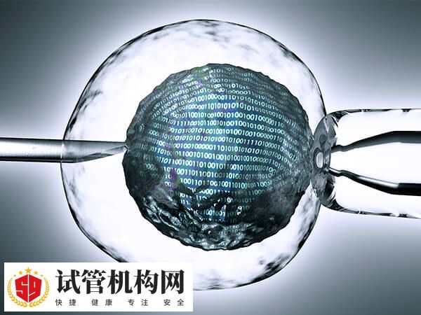 试管成功率受女性年龄等因素影响而变化