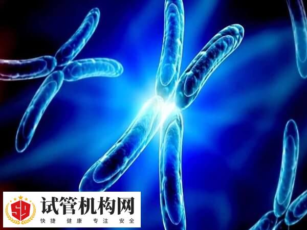 试管婴儿生男生女的概率与自然受孕相似