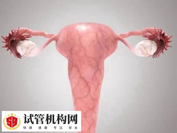 导致不孕不育的原因可能涉及男女双方