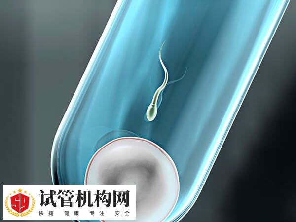 试管婴儿是体外受精-胚胎移植技术的俗称