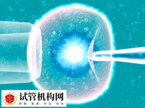 32岁做试管婴儿的成功率在30%-35%