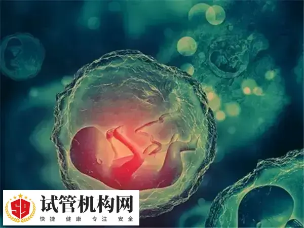 自然周期适合年龄大的患者