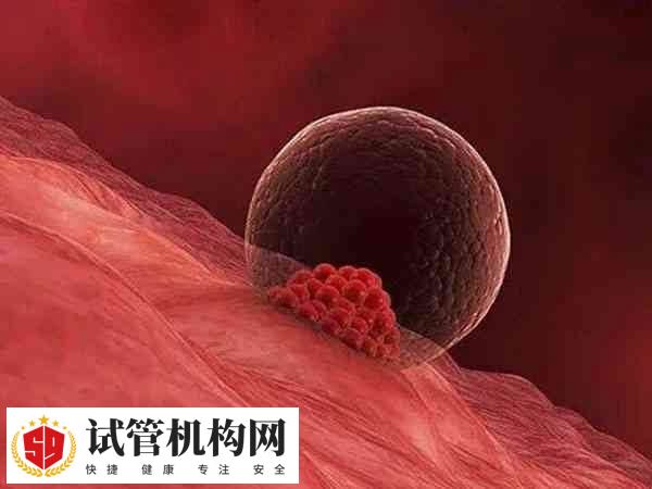 内膜太薄胚胎无法着床