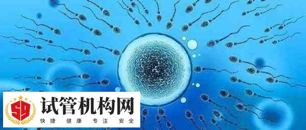 卵泡隔一天检测反而变小明卵泡存在黄体化